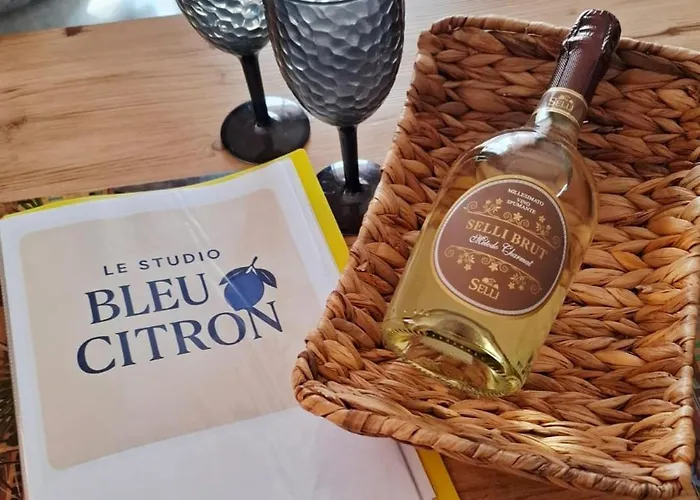 Le Bleu Citron Apartment *